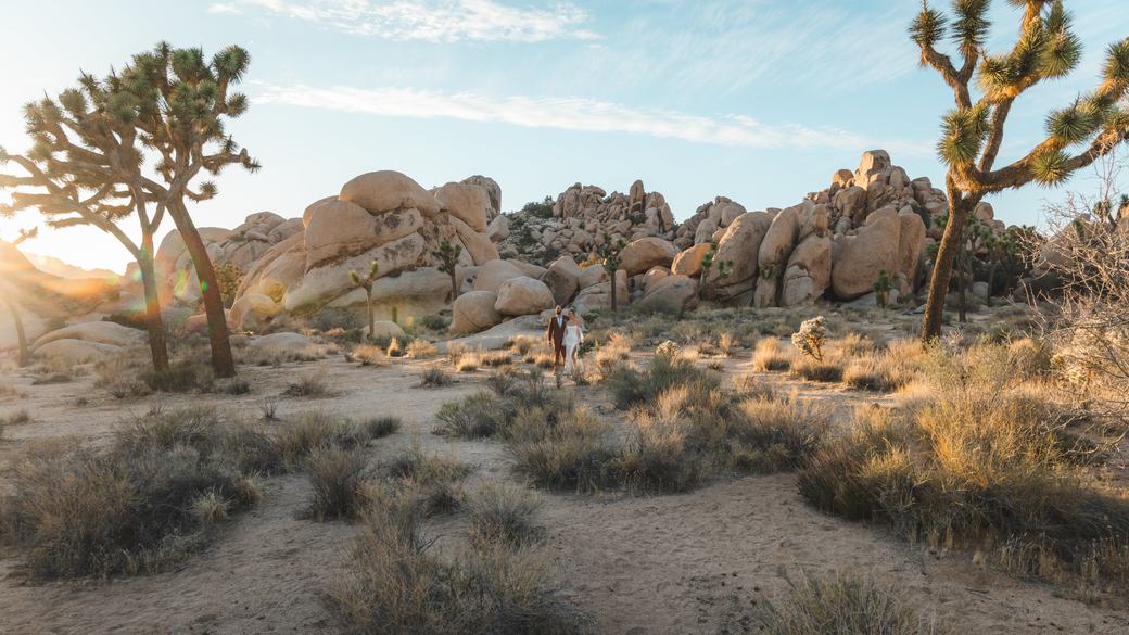 Bride and groom in a Joshua Tree desert landscape at sunset